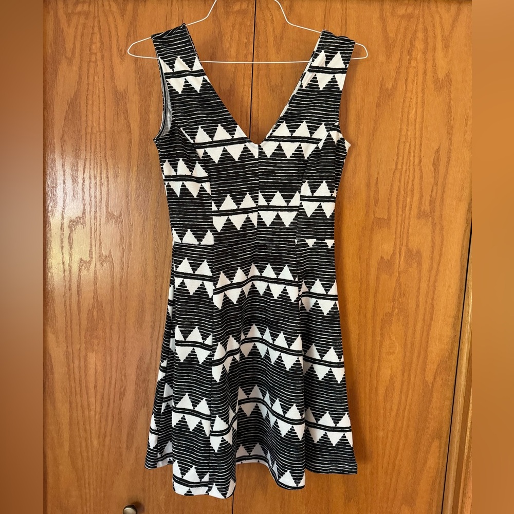 H&M Fit and Flare Skater Dress